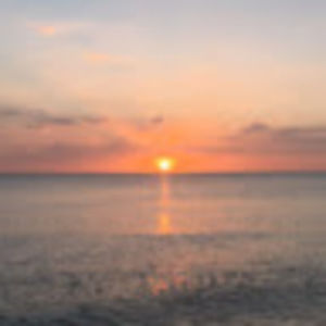 Meet your Posher, Moe